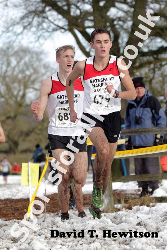Lewis Hogg (Gateshead Harriers) junior men  Northern Cross Country Championships.